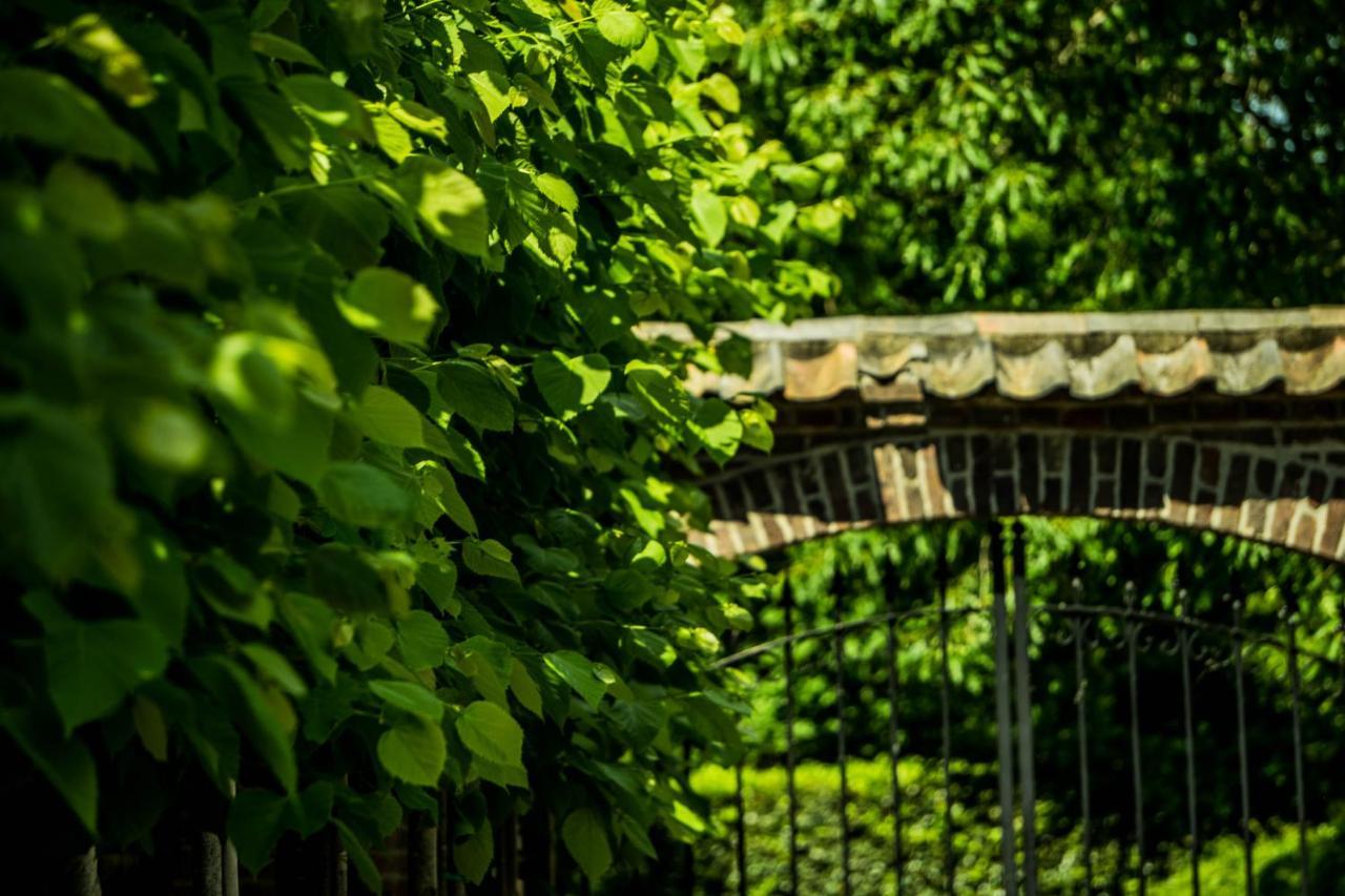 A Casa Nostra - Huiselijk En Gezellig Overnachten - Exclusief Ontbijt Well  Екстер'єр фото